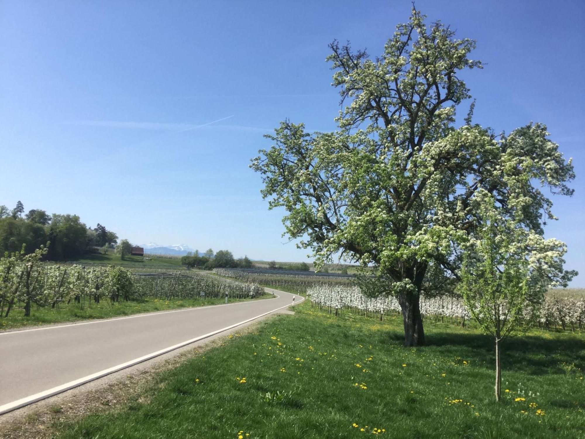 Maisonette Am See Nonnenhorn Eksteriør bilde