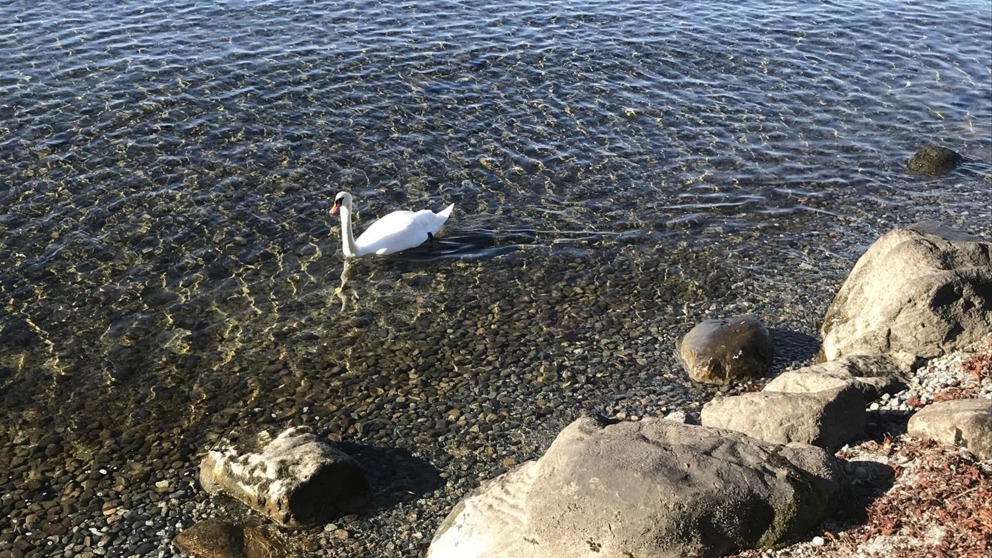 Maisonette Am See Nonnenhorn Eksteriør bilde